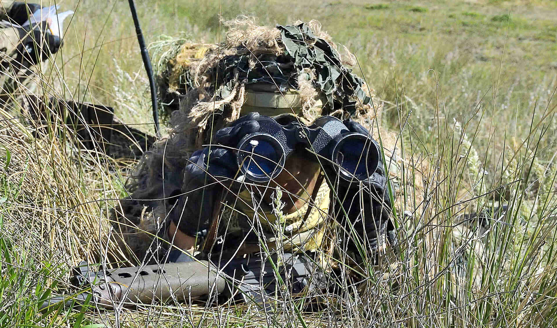 Creadas con el propósito de establecer unidades tácticas permanentes para responder a las demandas de la defensa nacional y el combate anfibio, estas unidades operan subordinadas a la Brigada Anfibia de Infantería de Marina. 