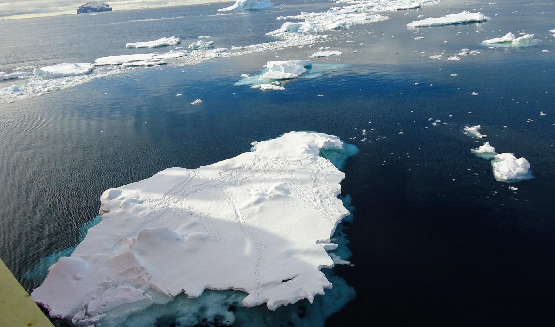 gacetamarinera.com.ar, el sitio oficial de noticias de la Armada Argentina