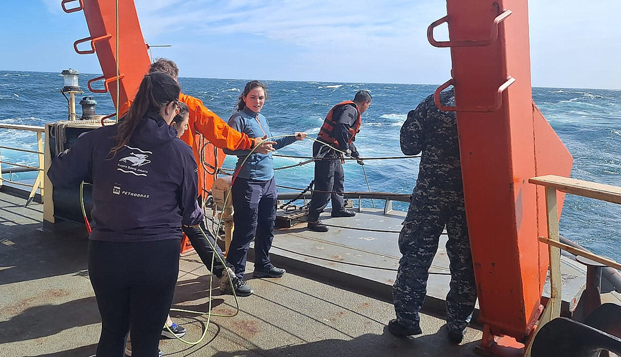 Un grupo de investigadores desarrolla el proyecto IWC SORP que tiene como objetivo evaluar la distribución, diversidad y uso de hábitat de los cetáceos en aguas antárticas.