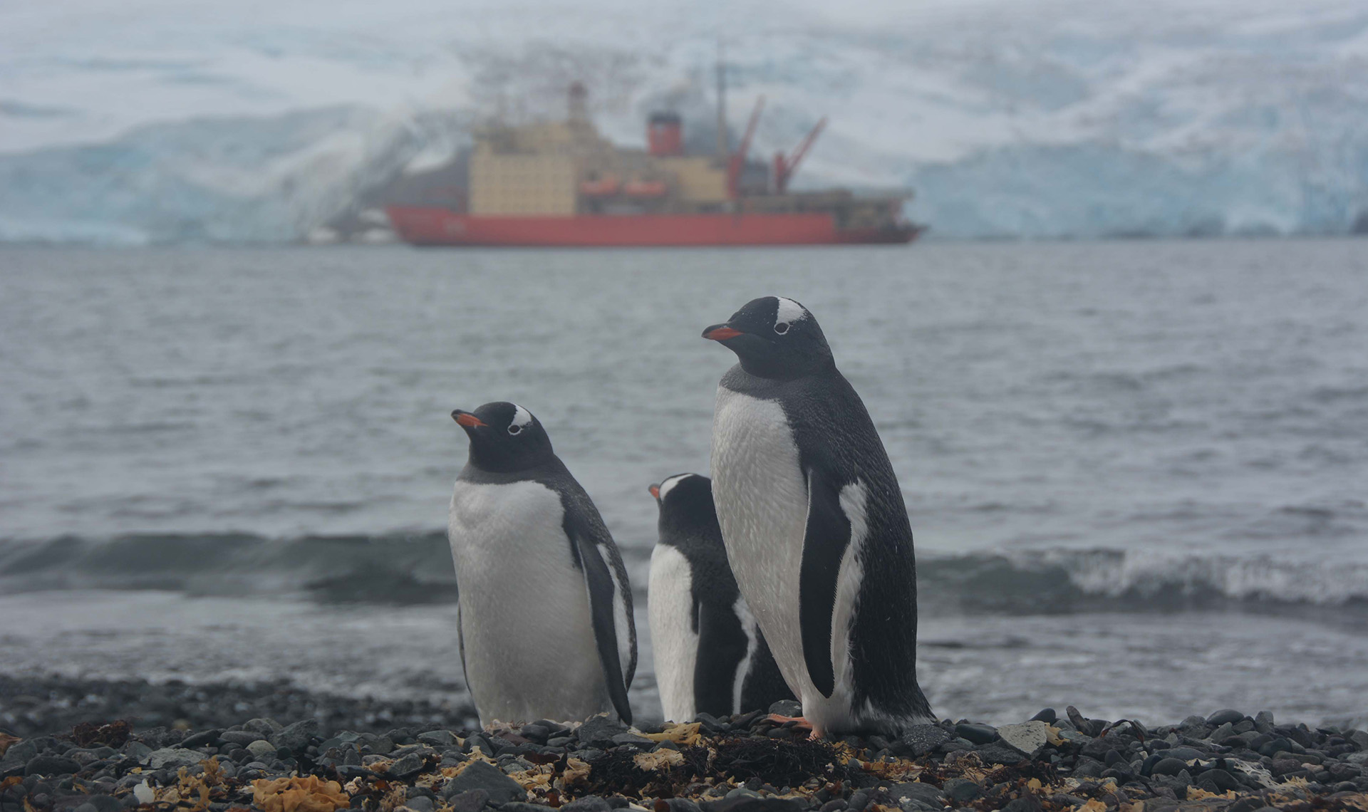 gacetamarinera.com.ar, el sitio oficial de noticias de la Armada Argentina