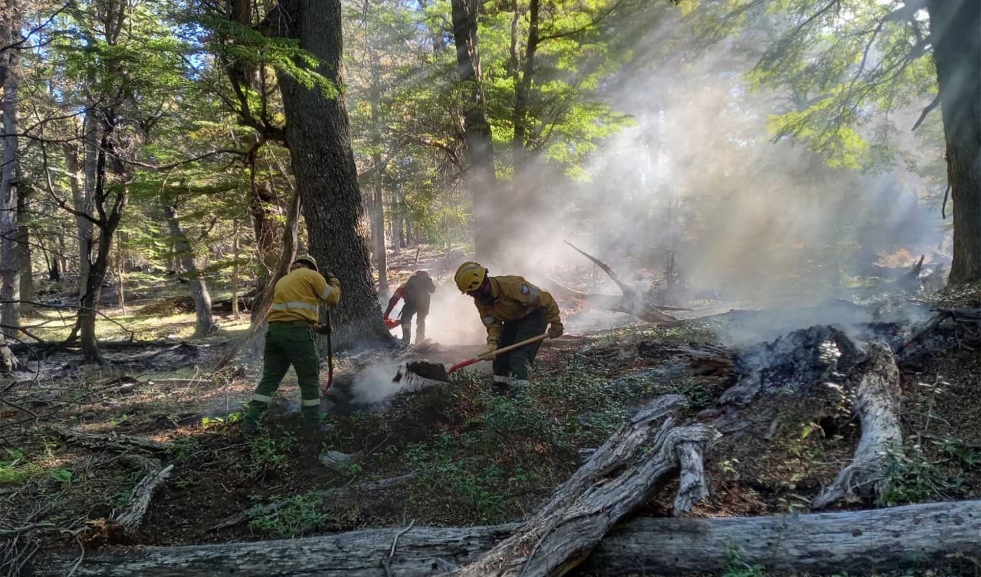 Fueron recibidos en el Área Naval Fluvial tras dos semanas de tareas de contención y control de focos activos de fuego.