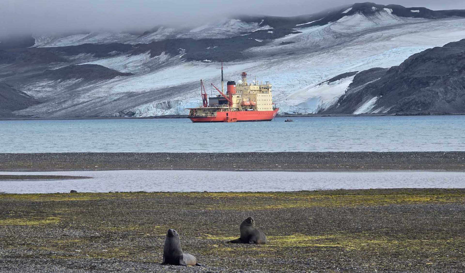 gacetamarinera.com.ar, el sitio oficial de noticias de la Armada Argentina